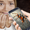 Real Spider Prank icon