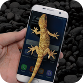 Gecko in Phone Joke icon