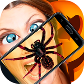 Spider Real 3D Camera Prank icon
