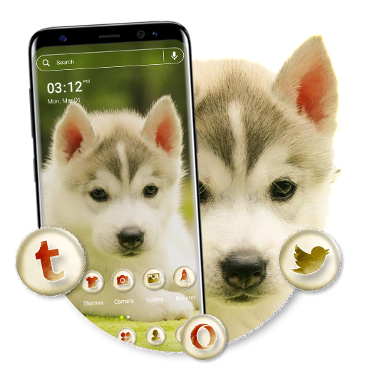 Husky Puppy Launcher Theme icon
