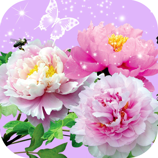 Flowers Wallpaper HD icon