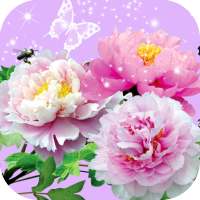 Flowers Wallpaper HD on 9Apps