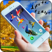 Birds on screen | Prank app icon