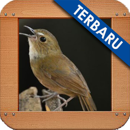 Burung Jongkangan Ngekek Gacor icon