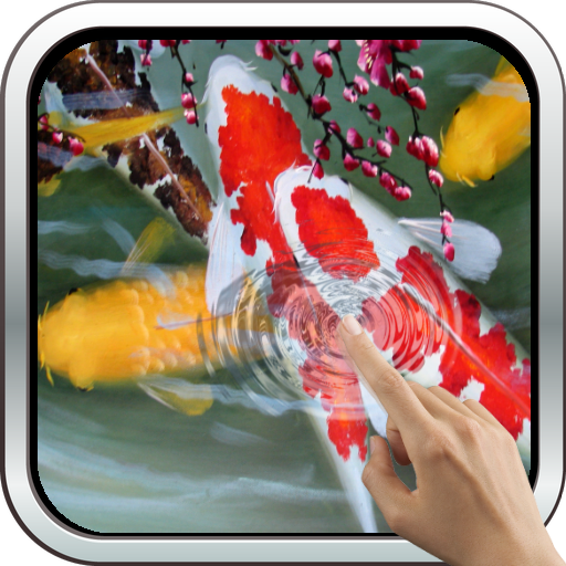 Interactive Koi Fish 3D icon