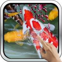 Interactive Koi Fish 3D