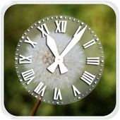 Dandelion Clock Live Wallpaper icon