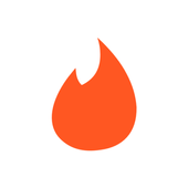 Fire Browser icon