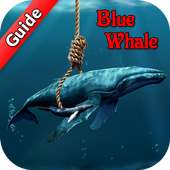 Guide for Blue Whale Suicide Game