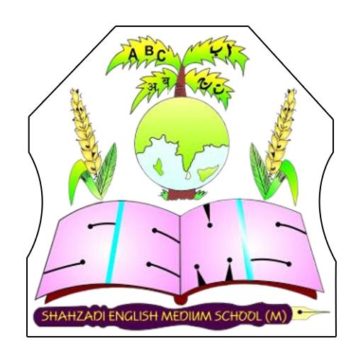 Shahzadi English Medium School icon