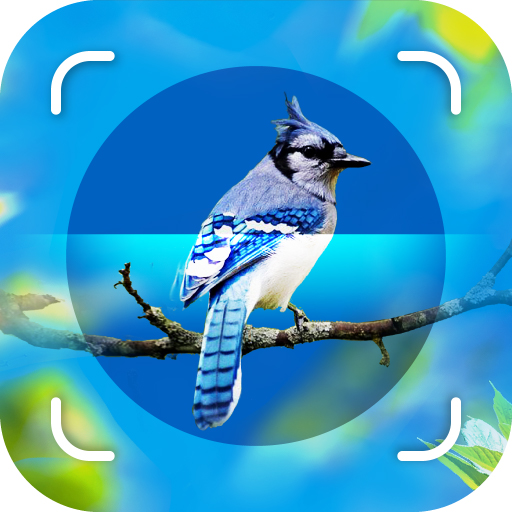 Bird Identifier - Picture Bird icon