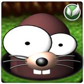 골든두더지를 잡아라!