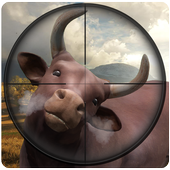 Bull Hunting - Angry Bulls Shooting icon