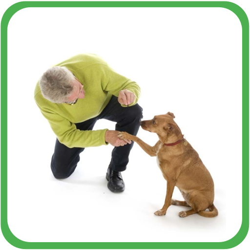 Training my Dog icon