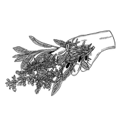 School of Witchery icon