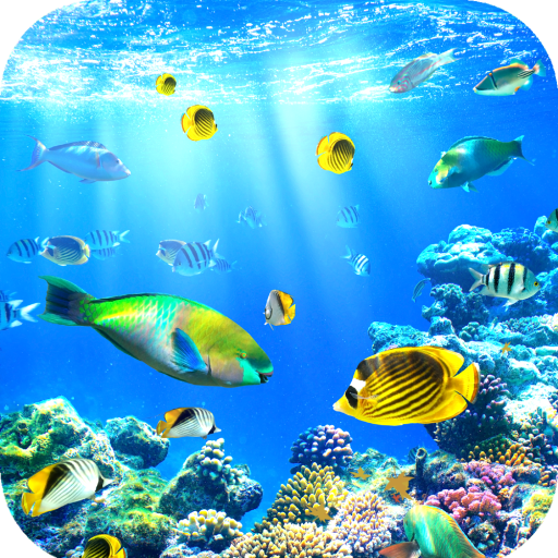 Aquarium Wallpaper HD icon