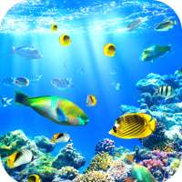 Aquarium Wallpaper HD on 9Apps