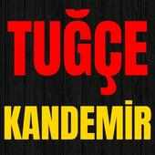 Tuğçe Kandemir Şarkıları (İnternetsiz) on 9Apps