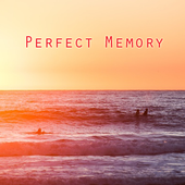 PerfectMemory Camera icon