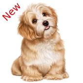 أنواع الكلاب أيقونة