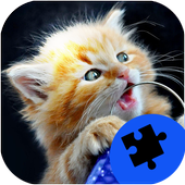 Cute Cats Jigsaw Puzzles icon