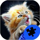 Cute Cats Jigsaw Puzzles