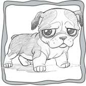 Coloring Book Education on 9Apps