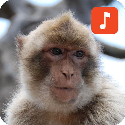 Monkey Sound Effects icon