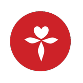 Vivo icon
