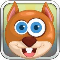 Squirrel Blocks - Blocks smashing escape game free