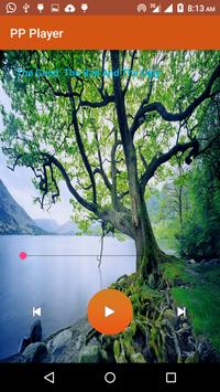 P Player 4 تصوير الشاشة