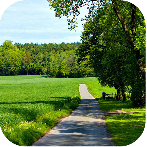 Nature Live-Bilder icon