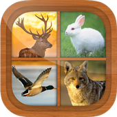 Hunting Calls All In One icon