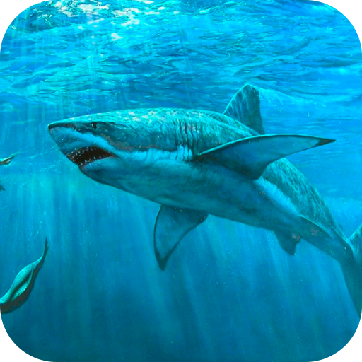 Shark Live Wallpaper icon