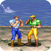 Dinosaurs Fighter icon