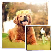 Dog Puzzle Game icon