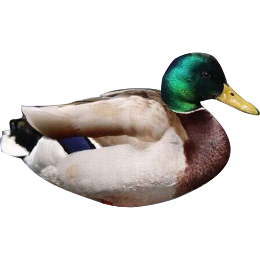 DuckyDuck - Ducky Bhai In Game icon