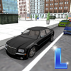 Driving School Simulator 3D icon
