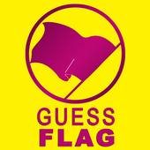 Guess Flag icon