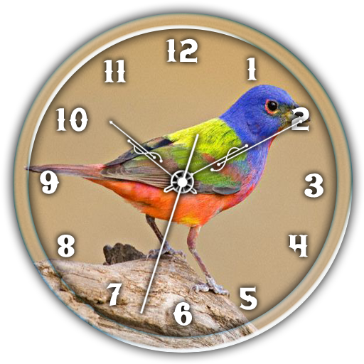 Clock Live WP :Painted Bunting icon