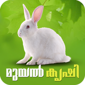 Rabbit Farming Malayalam أيقونة