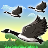 Duck Hunt icon