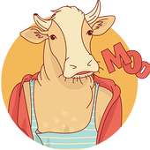 What animal are you - quiz