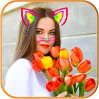 Cat Face Photo Editor on 9Apps