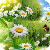 ikon Spring Wallpaper HD