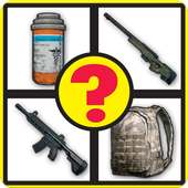 Guess The PUBG Guns & Items