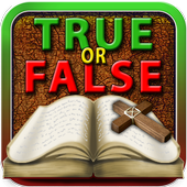 True or False icon