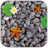 Water Ripples Live Wallpaper icon