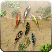 Water Pool Live Wallpaper icon