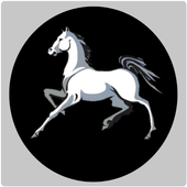 Horse vpn 2020 icon